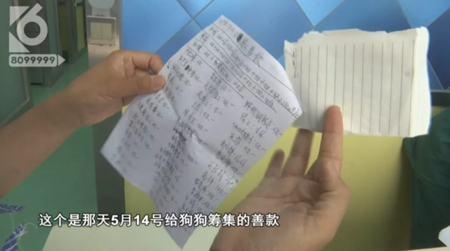 令人發(fā)指！寵物狗被砍3刀，還在傷口上撒辣椒面