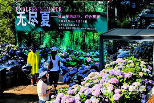 微信圖片_20190520190344 微信圖片_20190520190344