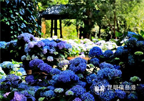 微信圖片_20190520190357 微信圖片_20190520190357