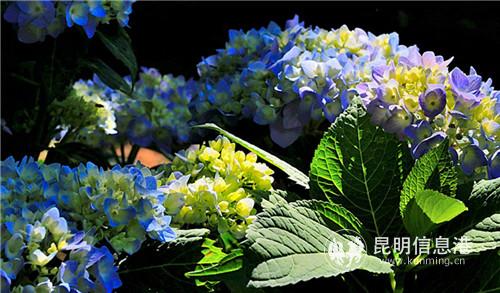 微信圖片_20190520190404 微信圖片_20190520190404