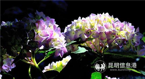 微信圖片_20190520190414 微信圖片_20190520190414