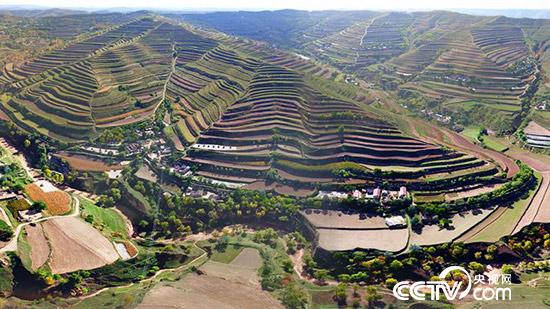 甘肅省定西市安定區(qū)的梯田美如畫。（安定區(qū)委宣傳部供圖）