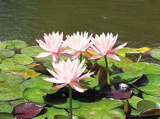 00300642443_2d4583c6 00300642443_2d4583c6