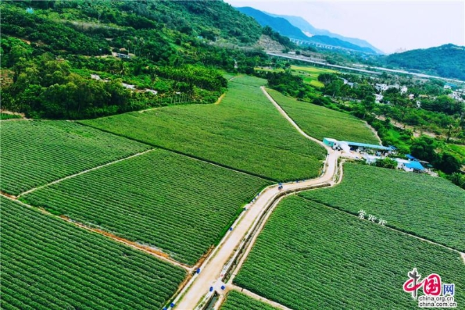 5df9055f-52a5-4562-a2c7-d54ddb3cef0e_batchwm 5df9055f-52a5-4562-a2c7-d54ddb3cef0e_batchwm