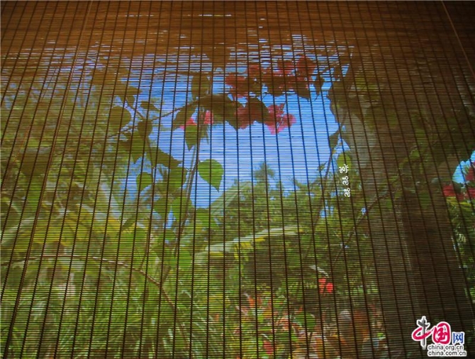 399bcb66-146a-49f7-9e46-9208a6e42c72_batchwm 399bcb66-146a-49f7-9e46-9208a6e42c72_batchwm