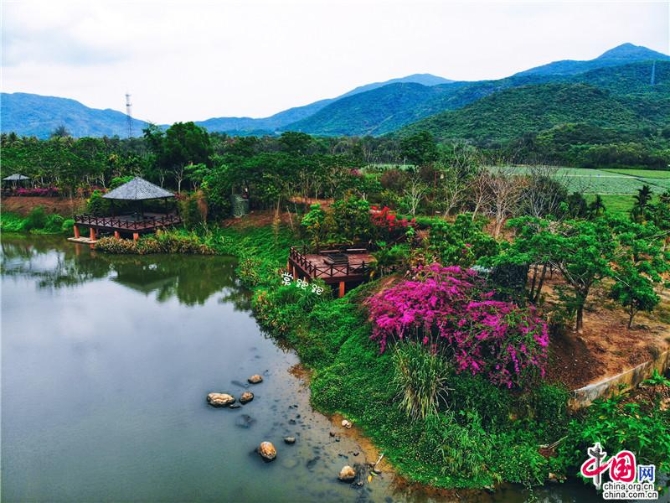 fef72310-2b1b-45af-9b2f-65cb06f951b2_batchwm fef72310-2b1b-45af-9b2f-65cb06f951b2_batchwm