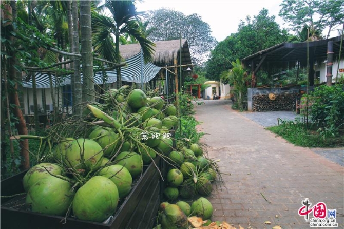 a50c3755-21e0-4c15-aac5-de216add552a_batchwm a50c3755-21e0-4c15-aac5-de216add552a_batchwm