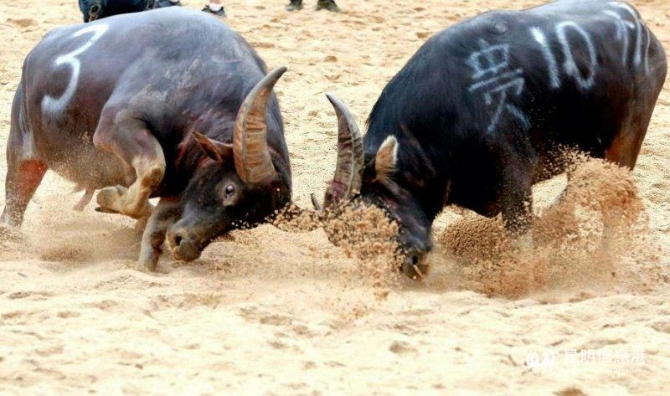 微信圖片_20190523145130 微信圖片_20190523145130