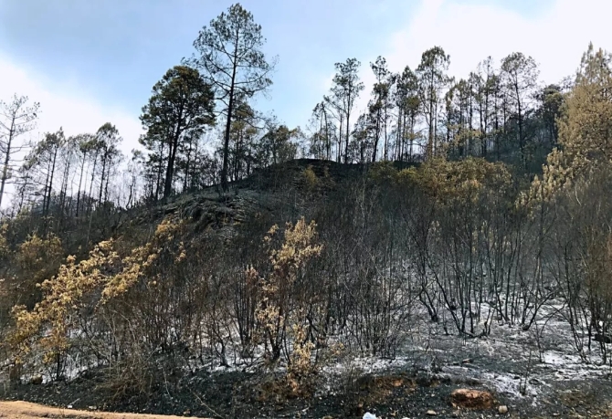 640.webp (6) 640.webp (6)