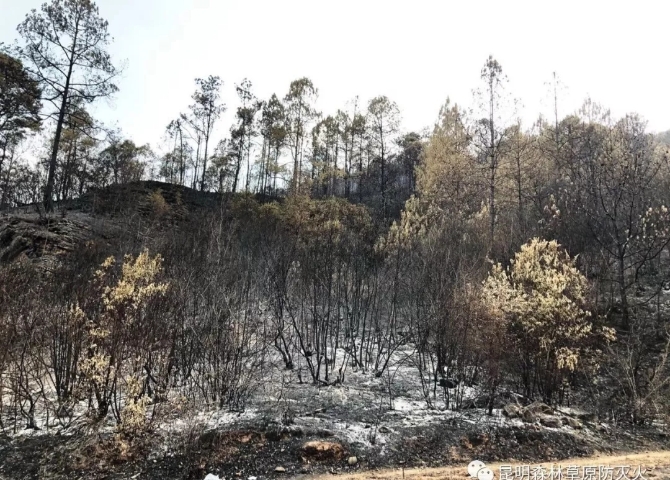 640.webp (7) 640.webp (7)