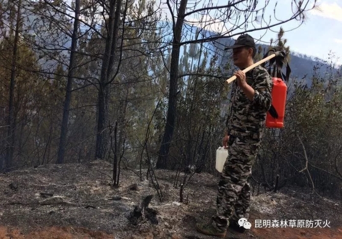 640.webp (12) 640.webp (12)