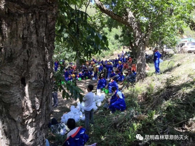 640.webp (14) 640.webp (14)