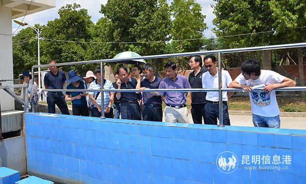 W020190521707808265787