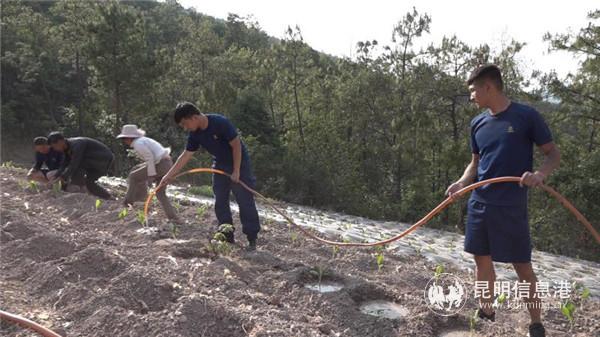 幫助村民給農(nóng)作物澆水 幫助村民給農(nóng)作物澆水