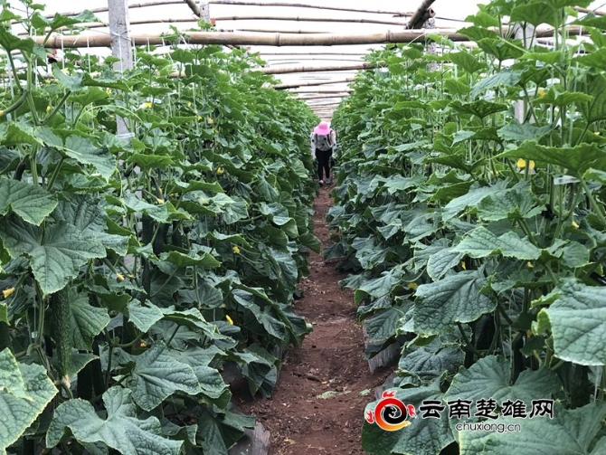 00300649080_d55cf43c 00300649080_d55cf43c