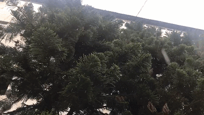 昨天，文山全州出現(xiàn)大雨暴雨天氣↓↓.gif