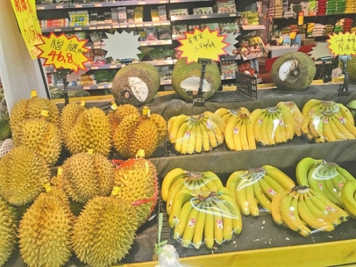 2019052806_res03_attpic_brief 2019052806_res03_attpic_brief