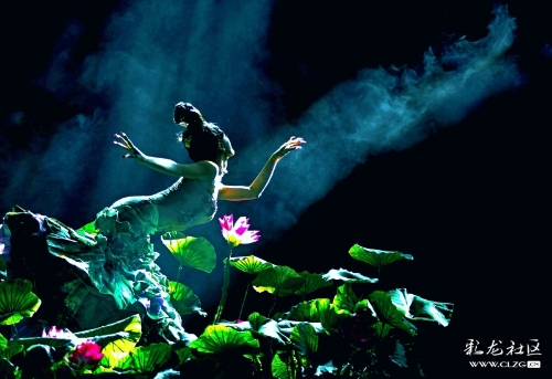 《蓮花心》 《蓮花心》