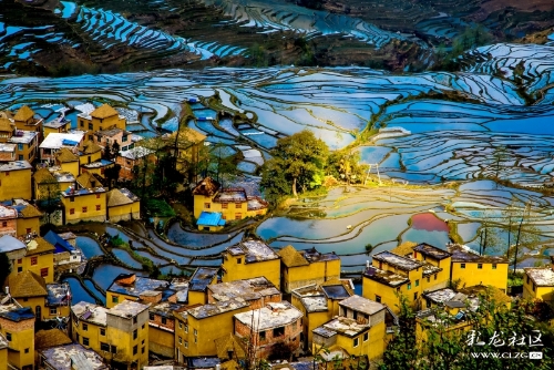 《哈尼人家》 《哈尼人家》