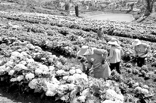 2019053104_res03_attpic_brief 2019053104_res03_attpic_brief