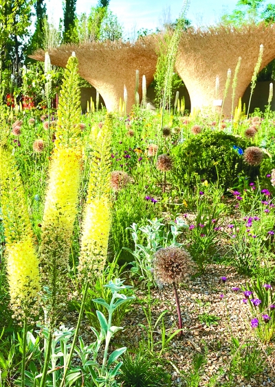 走進(jìn)“新絲綢之路”花園