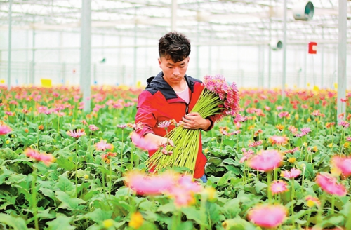 微信截圖_20190603073940 微信截圖_20190603073940