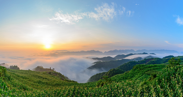 朱家坪日出 朱家坪日出