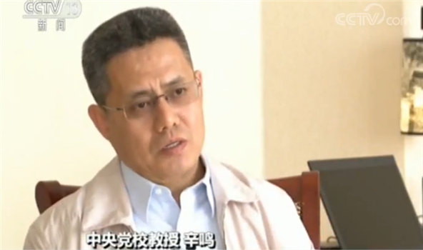 中央黨校教授辛鳴