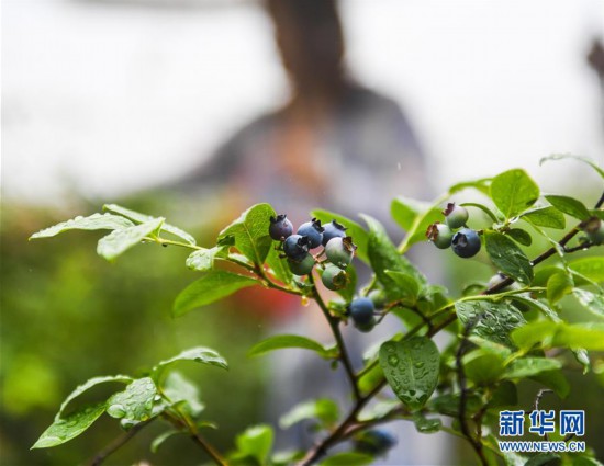 f44d30758a2f1e58337336 f44d30758a2f1e58337336