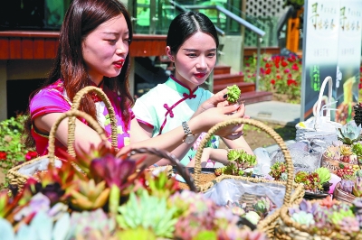 “江蘇日”：詩畫江南 蘇韻家園