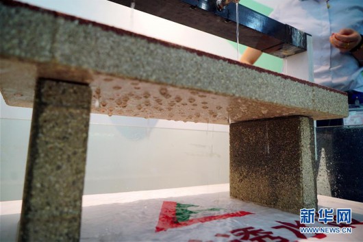 (新華視點·圖片版)(9)海綿城市讓生活更“自然”——解碼人水和諧的“萍鄉(xiāng)方案”