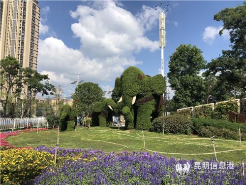 “吉象云南”花壇格外顯眼 “吉象云南”花壇格外顯眼