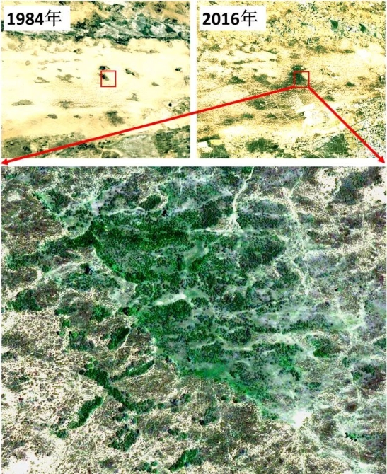 圍觀 | 中國是怎樣拯救地球的？衛(wèi)星遙感影像告訴你！