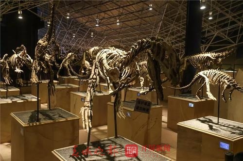 20190608131725TTDURTn 20190608131725TTDURTn