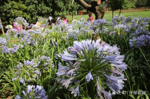 20190608104258MKD6TUm 20190608104258MKD6TUm