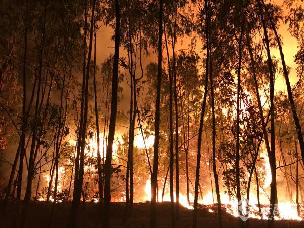 00300684631_d55dec51 00300684631_d55dec51