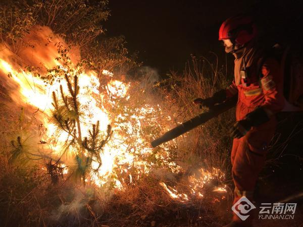 00300684619_91a890fd 00300684619_91a890fd