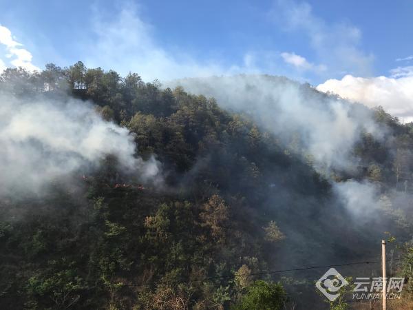 00300684633_5a9d9e37 00300684633_5a9d9e37