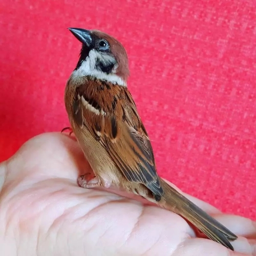 640.webp (16) 640.webp (16)