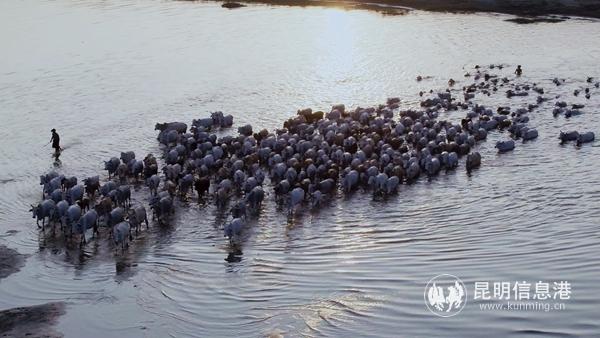 宣傳照4 宣傳照4