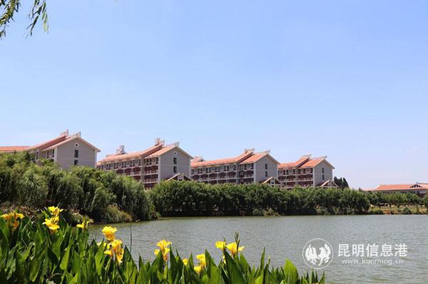 QQ截圖20190613180723 QQ截圖20190613180723