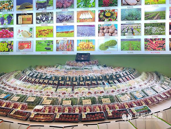 云南中康食品展出的13種果蔬 記者勞學(xué)麗 攝 云南中康食品展出的13種果蔬 記者勞學(xué)麗 攝