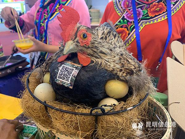 彝人生態(tài)土雞蛋 記者勞學(xué)麗 攝 彝人生態(tài)土雞蛋 記者勞學(xué)麗 攝