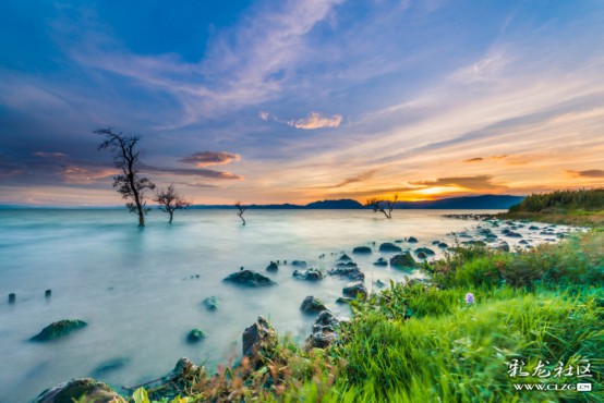 viewfile (1) viewfile (1)