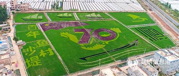 投稿作品截圖1 投稿作品截圖1