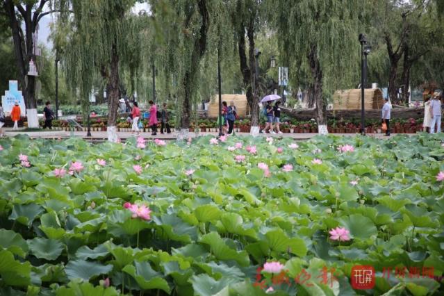荷花節(jié)