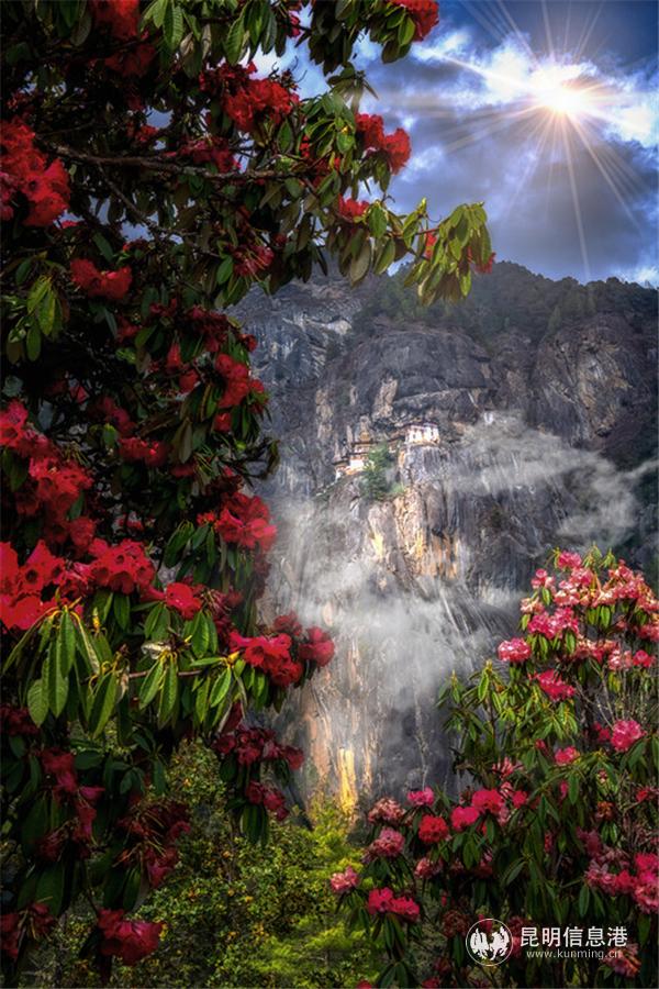 明峰作品3 明峰作品3