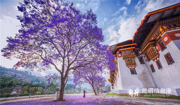 明峰作品4 明峰作品4