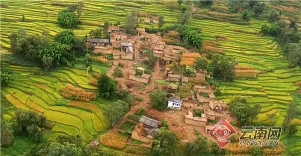 00300714384_5615e590 00300714384_5615e590