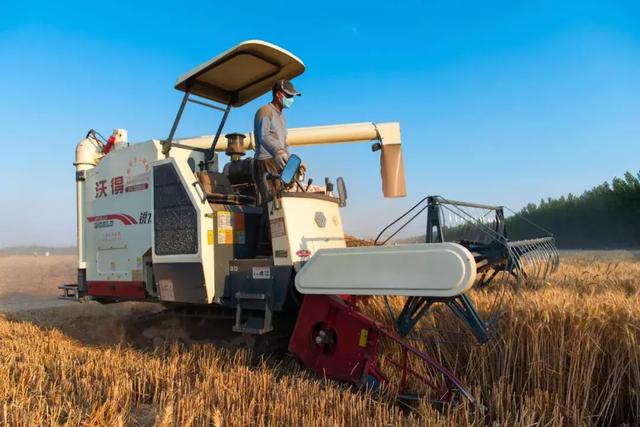 中國飯碗（值得一讀?。? inline=